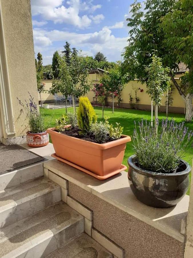 Ferienwohnung Aranyoshaz-Vendeghaz Budapest Exterior foto